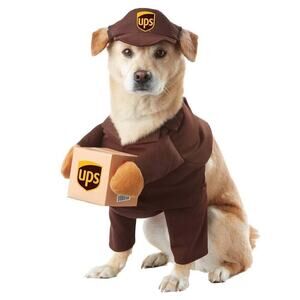 California Costumes UPS Pal Shirt Visor Box Dog Postman Costume Size XS Brown